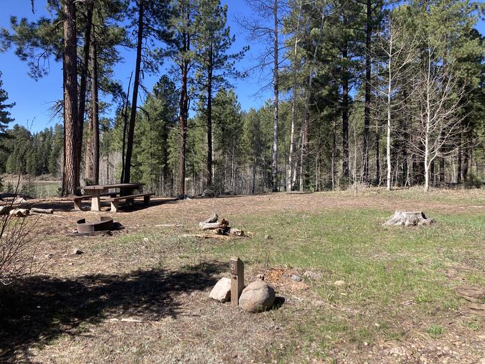 A photo of Site 21 of Loop D at WILLIAMS CREEK CAMPGROUND with Picnic Table, Fire Pit