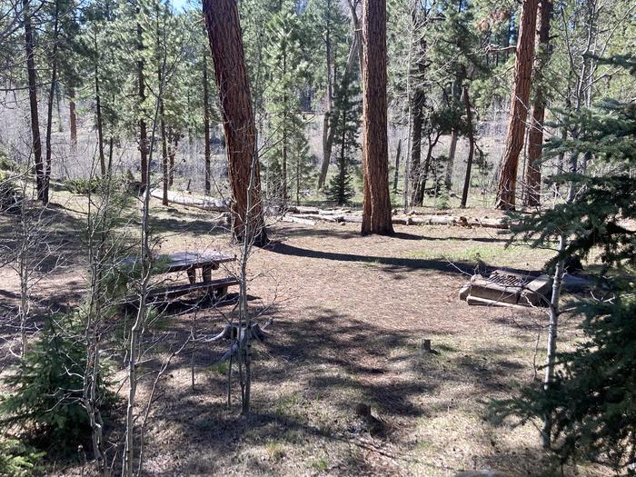 A photo of Site 35 of Loop B at WILLIAMS CREEK CAMPGROUND with Picnic Table, Fire Pit, Shade
