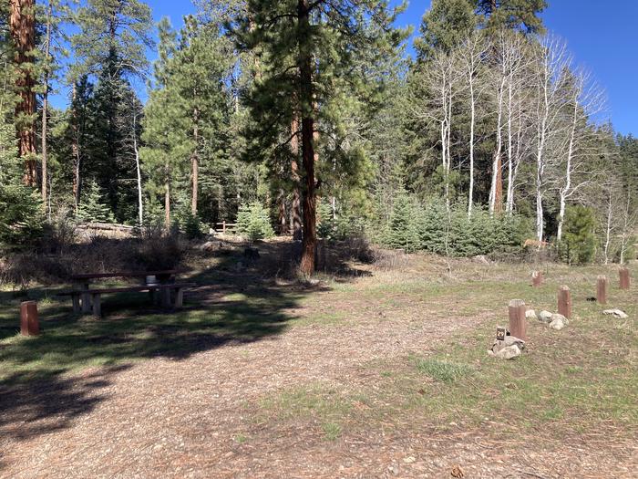 A photo of Site 29 of Loop C at WILLIAMS CREEK CAMPGROUND with Picnic Table, Fire Pit, Shade