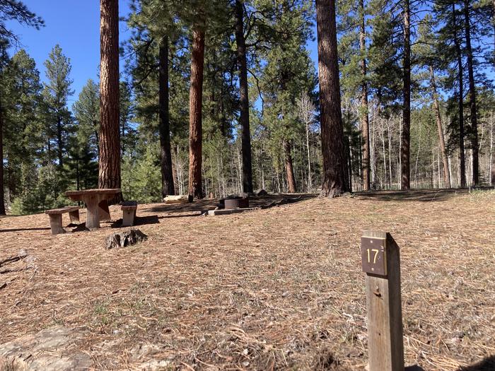 A photo of Site 17 of Loop D at WILLIAMS CREEK CAMPGROUND with Picnic Table, Fire Pit, Shade