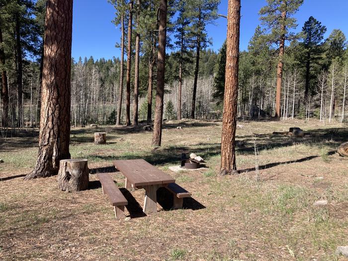 A photo of Site 19 of Loop D at WILLIAMS CREEK CAMPGROUND with Picnic Table, Fire Pit