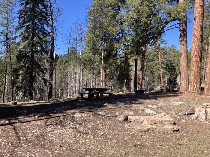 A photo of Site 23 of Loop D at WILLIAMS CREEK CAMPGROUND with Picnic Table, Fire Pit, Shade