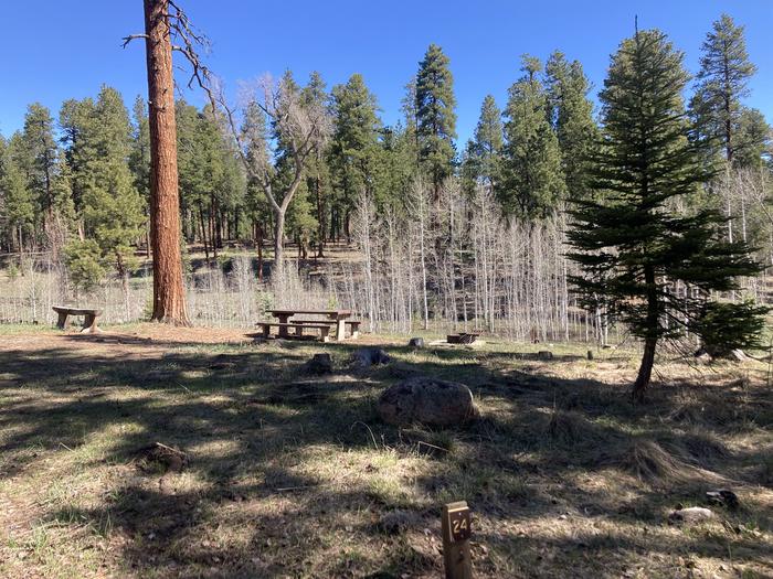 A photo of Site 24 of Loop D at WILLIAMS CREEK CAMPGROUND with Picnic Table, Fire Pit, Shade