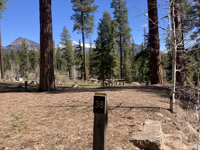 A photo of Site 38 of Loop B at WILLIAMS CREEK CAMPGROUND with Picnic Table, Fire Pit, Shade