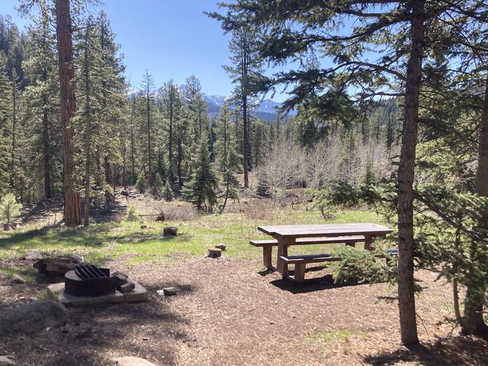 A photo of Site 38 of Loop B at WILLIAMS CREEK CAMPGROUND with Picnic Table, Fire Pit, Shade