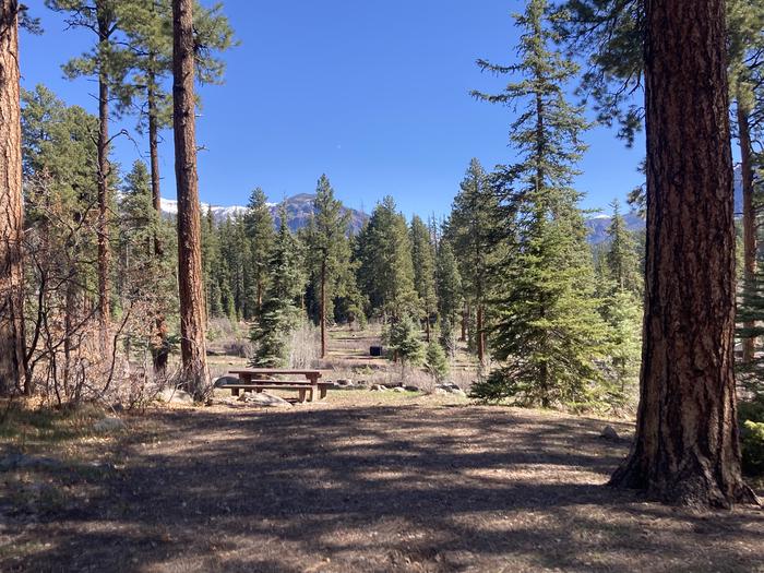 A photo of Site 45 of Loop B at WILLIAMS CREEK CAMPGROUND with Picnic Table, Fire Pit, Shade