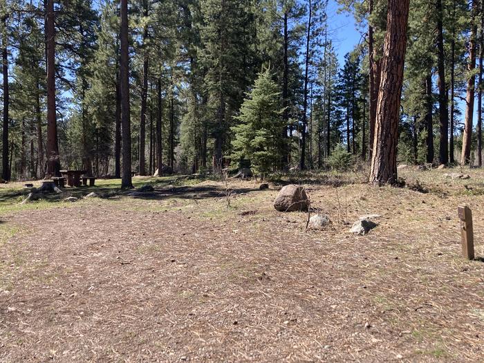 A photo of Site 44 of Loop B at WILLIAMS CREEK CAMPGROUND with Picnic Table, Fire Pit, Shade