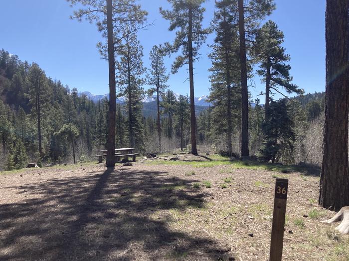 A photo of Site 36 of Loop B at WILLIAMS CREEK CAMPGROUND with Picnic Table, Fire Pit, Shade