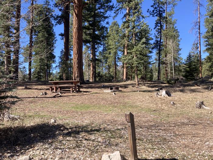 A photo of Site 41 of Loop B at WILLIAMS CREEK CAMPGROUND with Picnic Table, Fire Pit