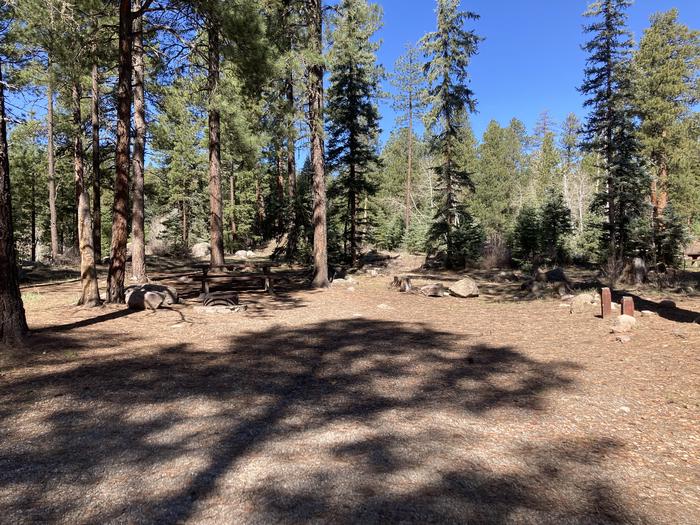 A photo of Site 48 of Loop B at WILLIAMS CREEK CAMPGROUND with Picnic Table, Fire Pit, Shade