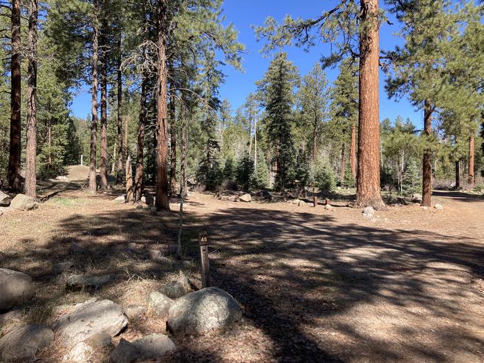 A photo of Site 48 of Loop B at WILLIAMS CREEK CAMPGROUND with Picnic Table, Fire Pit, Shade