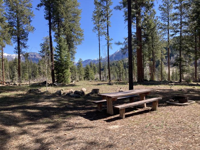 A photo of Site 47 of Loop B at WILLIAMS CREEK CAMPGROUND with Picnic Table, Fire Pit, Shade