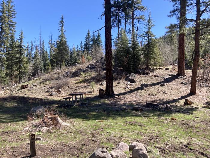 A photo of Site 56 of Loop A at WILLIAMS CREEK CAMPGROUND with Picnic Table, Fire Pit, Shade