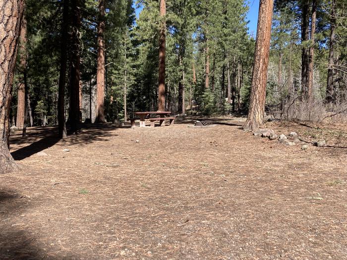A photo of Site 46 of Loop B at WILLIAMS CREEK CAMPGROUND with Picnic Table, Fire Pit, Shade