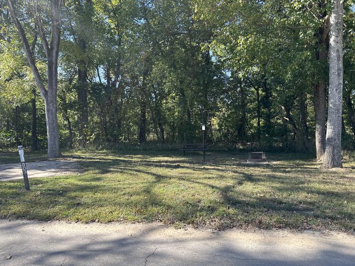 A photo of Site 803 of Loop Loop 800 at ALLEY SPRING with Picnic Table, Fire Pit, Shade, Lantern Pole