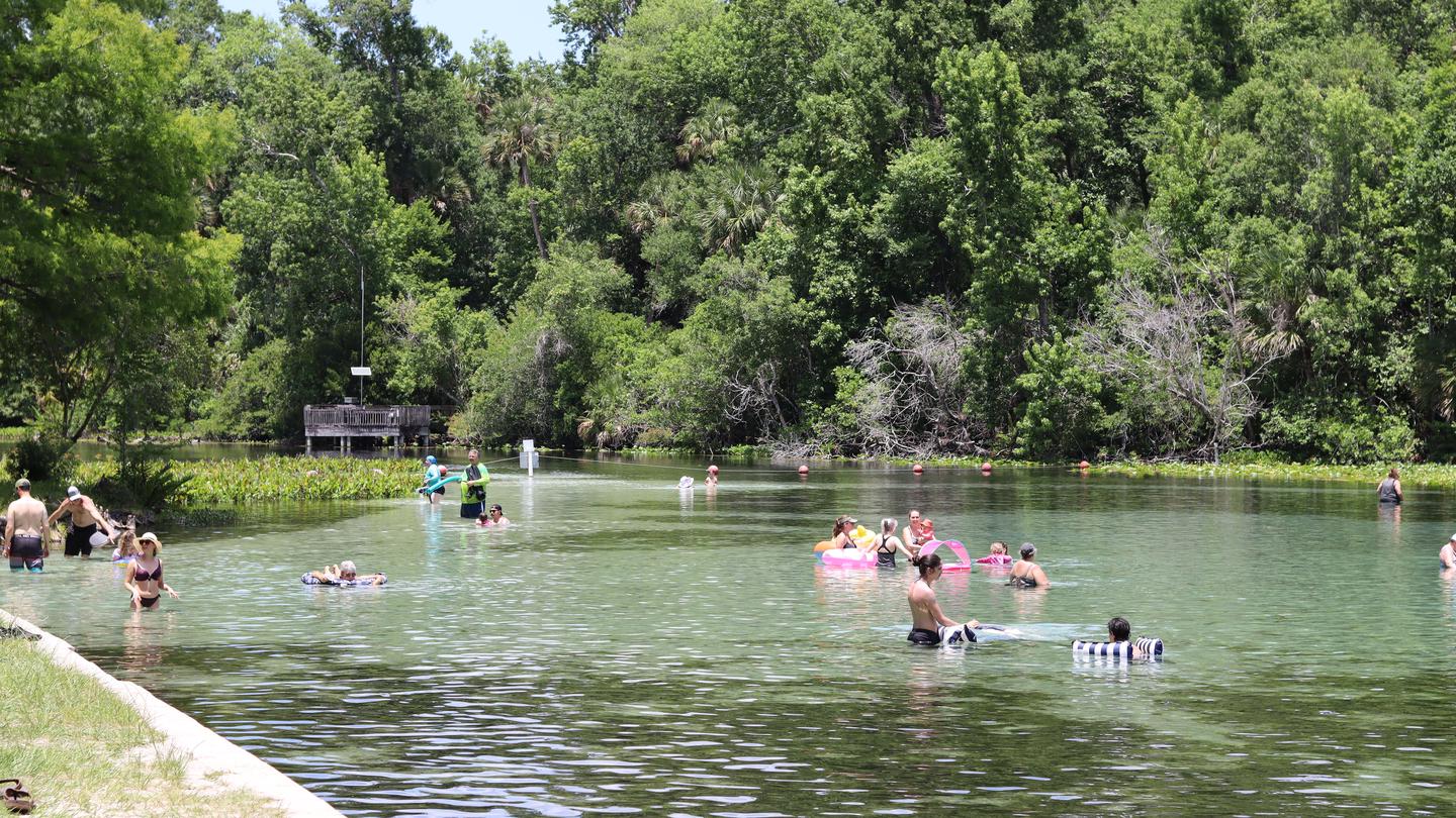 Alexander Springs swimming areaAlexander Springs swimming area. Swim at your own risk. 