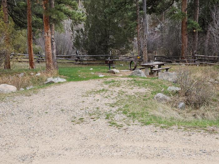 Curtis Gulch Campsite #1 Campsite #1