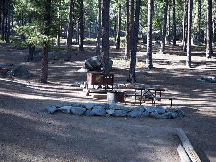 Campsite #5 tree shaded area, picnic table, and parking area.Campsite #5