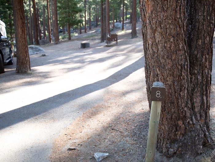 Campsite #8 tree shaded area, picnic table, and parking area.Campsite #8