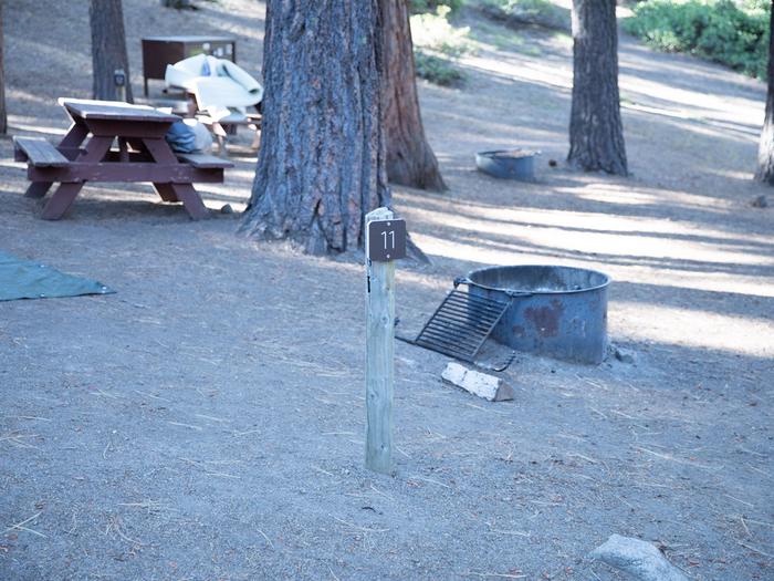 Campsite #11 tree shaded area, picnic tableCampsite #11