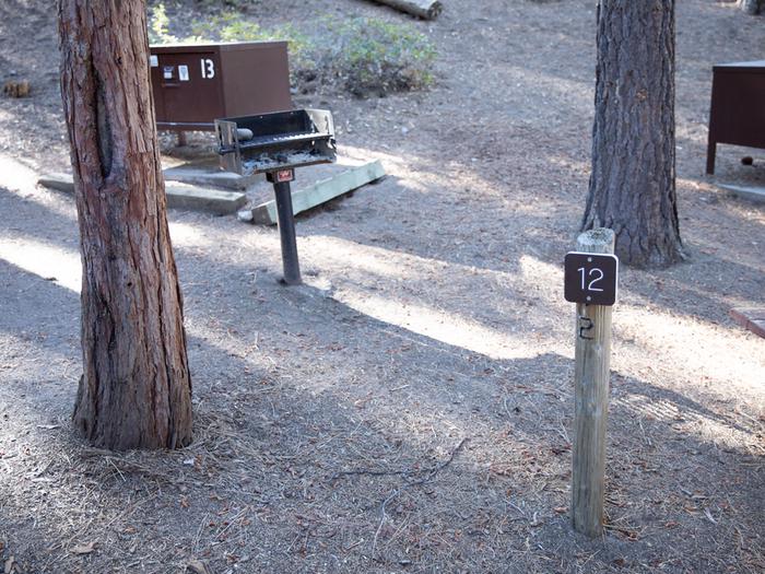 Campsite #12 tree shaded area, picnic tableCampsite #12