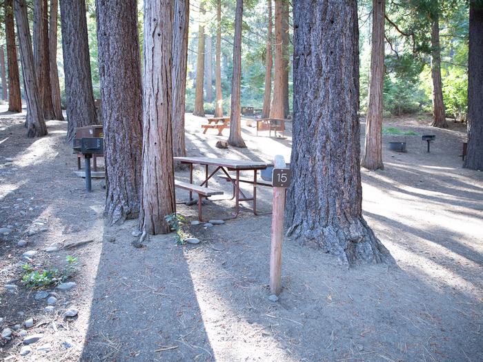 Campsite #15 tree shaded area, picnic tableCampsite #15