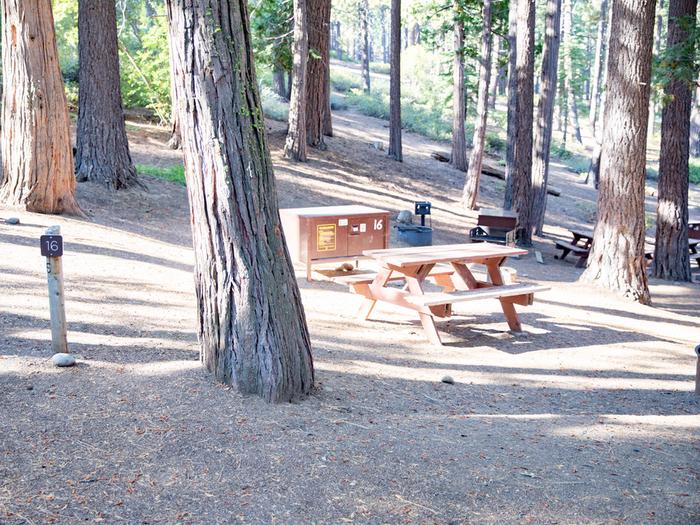 Campsite #16 tree shaded area, picnic tableCampsite #16