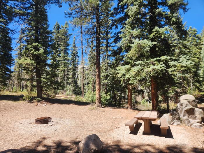 Campsite with picnic table and fire ring at Transfer Park
