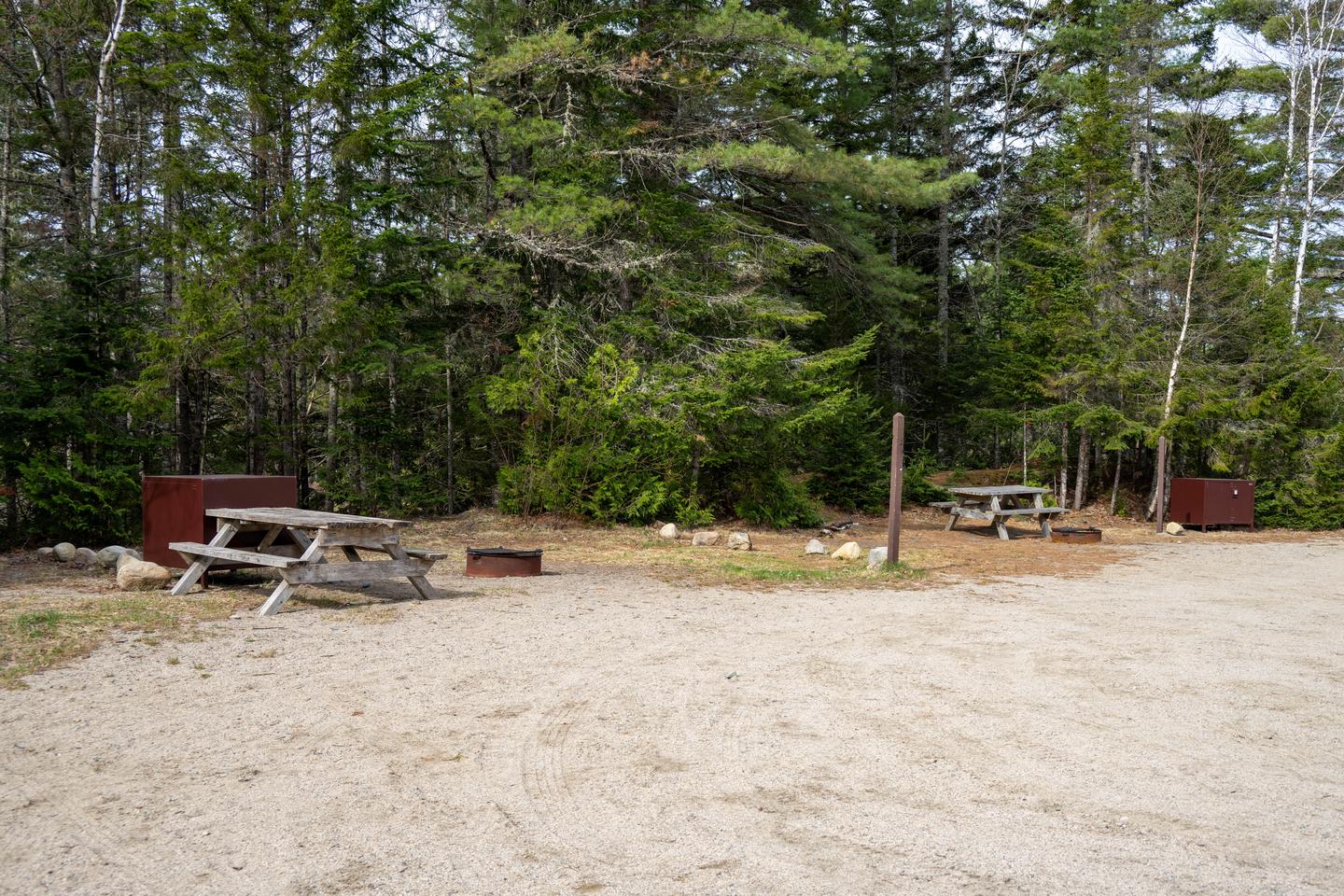Two campsites on a grassy and gravel surface, next to a forested area. Both sites have metal fire rings and food storage boxes.Sandbank Stream has two individual campsites as you enter.
