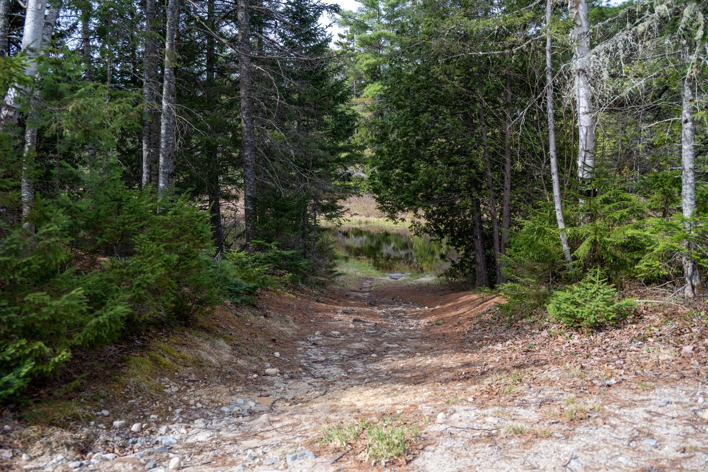 A short, uneven, and rocky trail to the viewpoint of Sandbank Stream.There are a couple short trails at the campsite to view the wetland area.