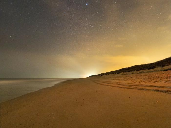 Night Sky and Beach Photo during Turtle Watch Program at Canaveral National Seashore