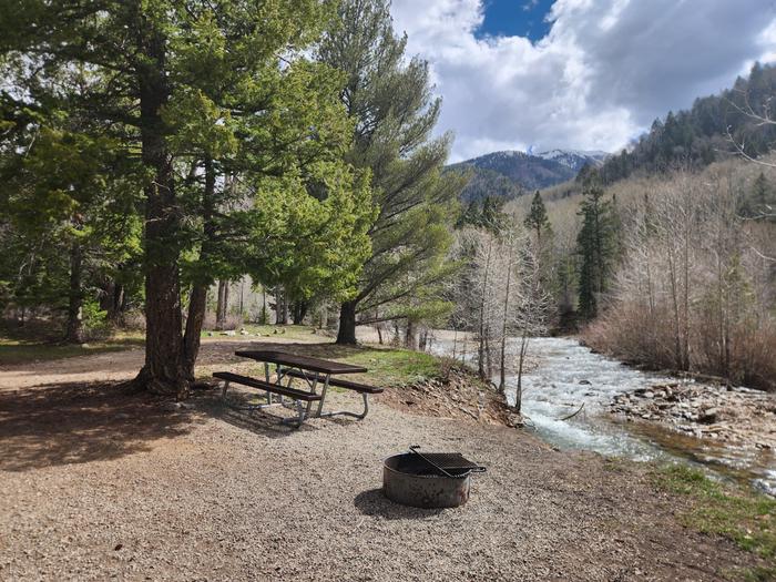 Campsite 3 with picnic table and fire ring located along LaPlata River