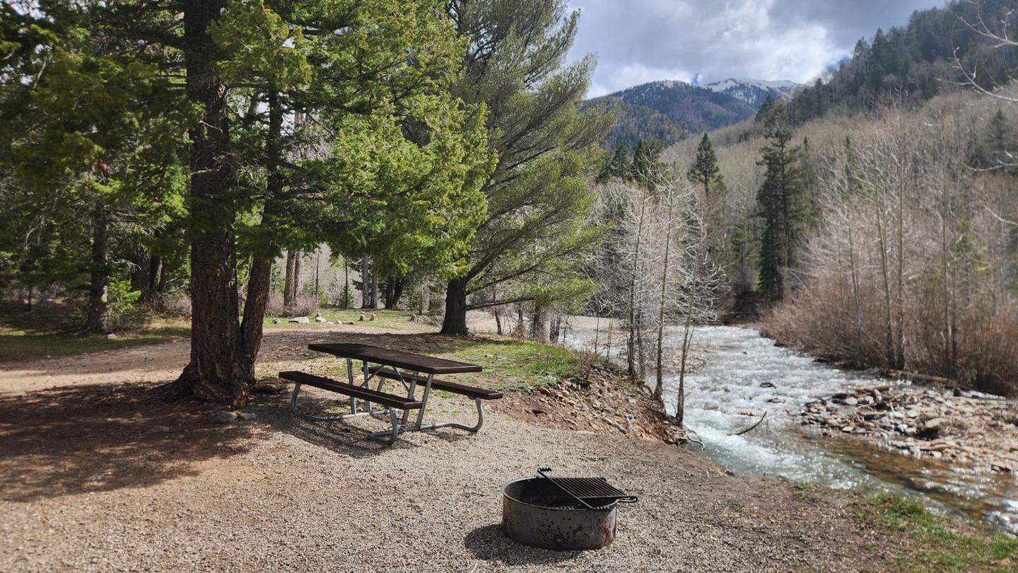 Campsite 3 with picnic table and fire ring located along LaPlata River