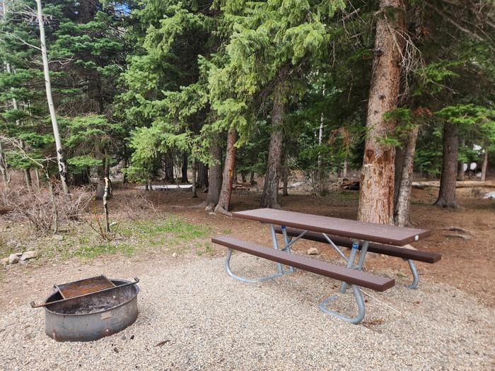 picnic table and fire ring in camp site