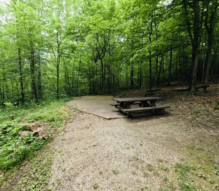 A photo of Site 47 of Loop Koomer Ridge at KOOMER RIDGE CAMPGROUND with Picnic Table, Fire Pit, Shade, Tent Pad, Lantern Pole