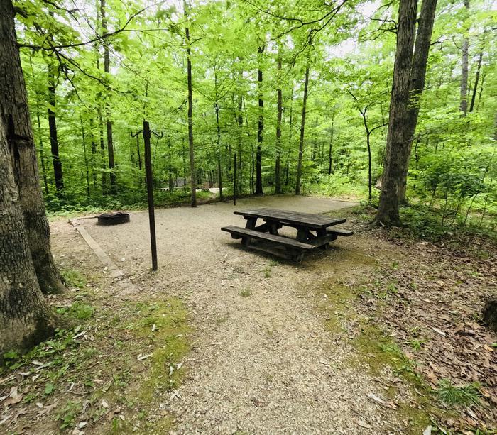 A photo of Site 15 of Loop Koomer Ridge at KOOMER RIDGE CAMPGROUND with Picnic Table, Fire Pit, Shade, Tent Pad, Lantern Pole