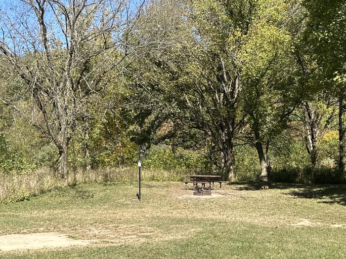 A photo of Site 127 of Loop Loop 100 at ALLEY SPRING with Picnic Table, Fire Pit, Lantern Pole