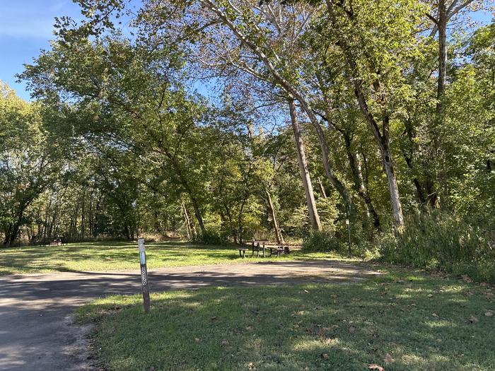 A photo of Site 816 of Loop Loop 800 at ALLEY SPRING with Picnic Table, Fire Pit, Shade, Lantern Pole