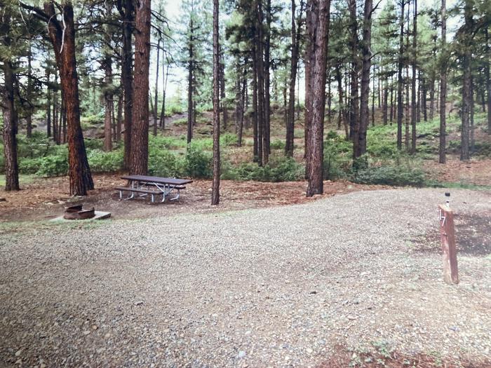A photo of Site 17 of Loop Main: Loop 1 at Ute Campground (CO) with Picnic Table, Fire Pit, Shade