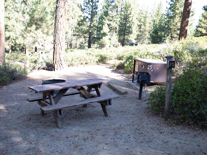 Campsite #25 tree shaded area, picnic tableCampsite #25