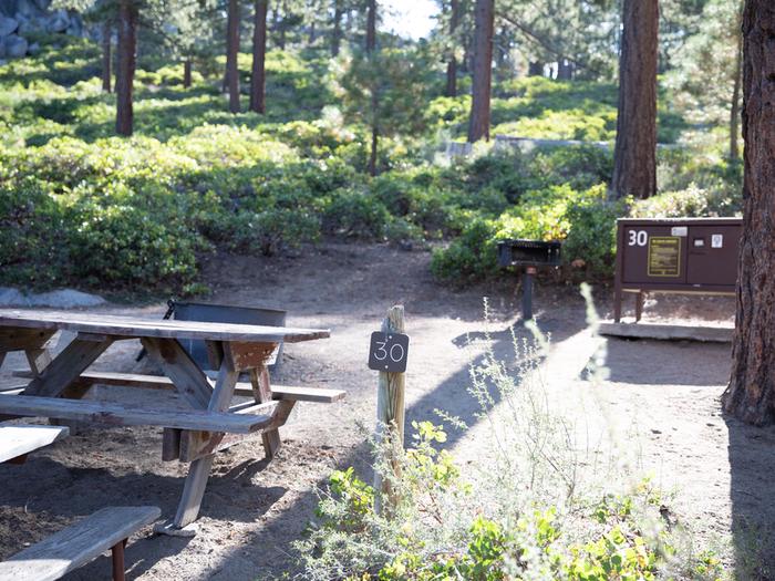 Campsite #30 tree shaded area, picnic tableCampsite #30