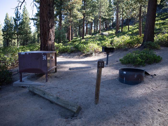 Campsite #31 tree shaded area, picnic tableCampsite #31