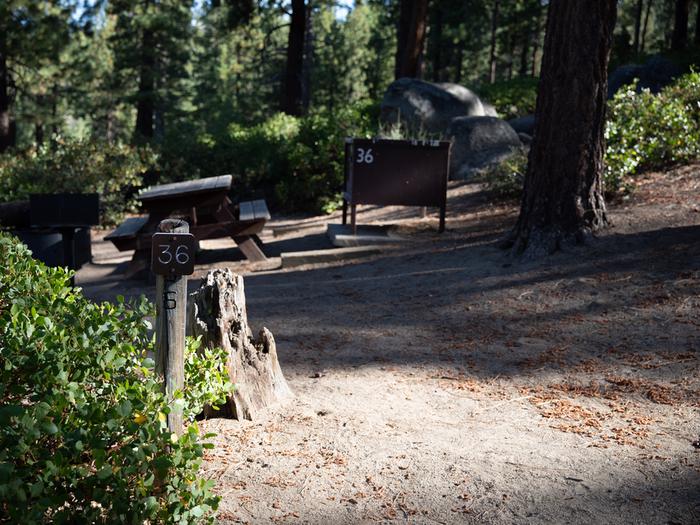 Campsite #36 tree shaded area, picnic tableCampsite #36