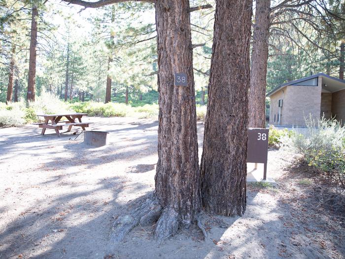 Campsite #38 tree shaded area, picnic tableCampsite #38