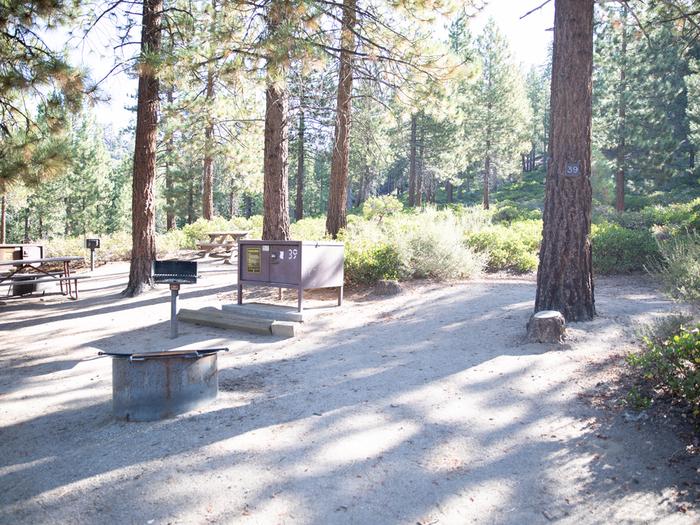 Campsite #39 tree shaded area, picnic tableCampsite #39