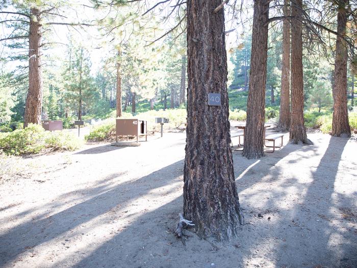 Campsite #40 tree shaded area, picnic tableCampsite #40 