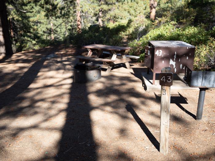 Campsite #43 tree shaded area, picnic tableCampsite #43