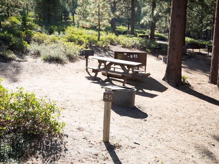 Campsite #45 tree shaded area, picnic tableCampsite #45