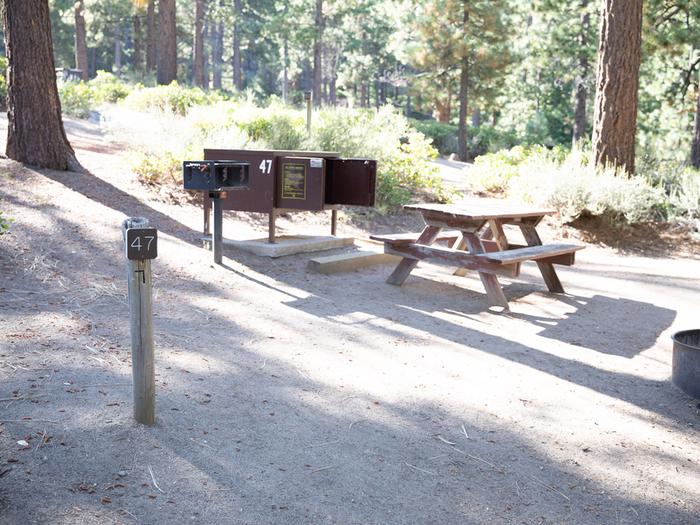 Campsite #47 tree shaded area, picnic tableCampsite #47