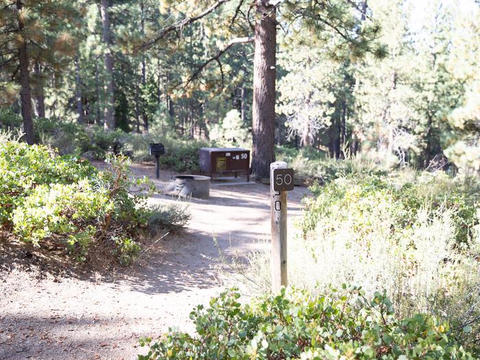 Campsite #50 tree shaded area, picnic tableCampsite #50